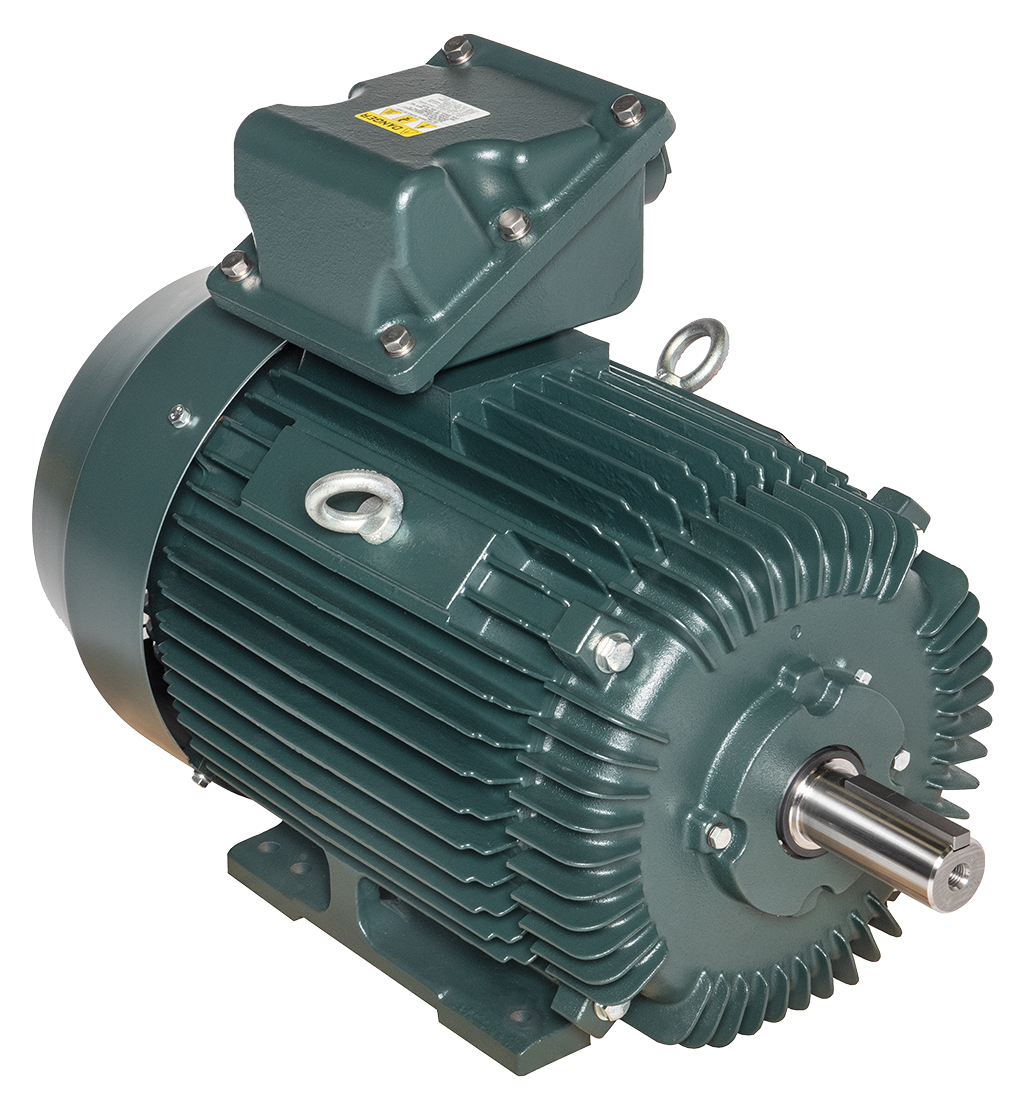 iec-cast-iron-frame-1